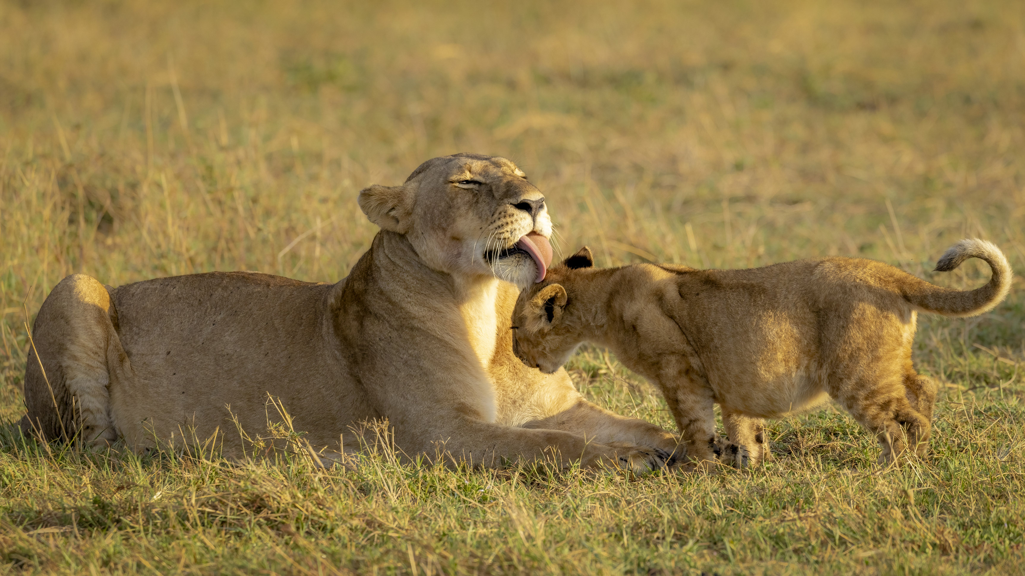 November 10, 2022-064712-2-Edit.jpg